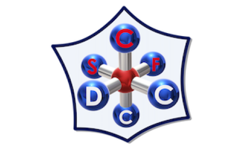  Division Chimie de Coordination (DCC) 